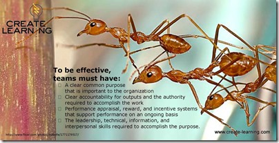 Team Work what effective teams must have