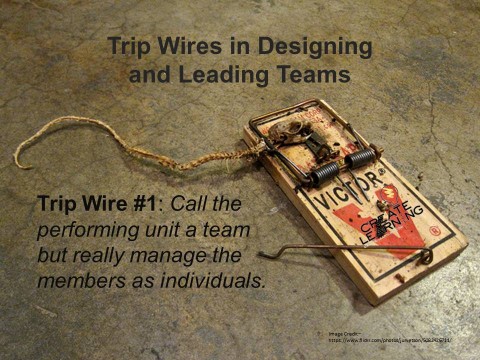 Trip Wires in Designing and Leading Teams 1 Create-Learning Team Building and Leadership