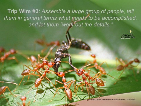 Trip Wires in Designing and Leading Teams assemble people and let them work out the details Create-Learning Team Building and Leadership