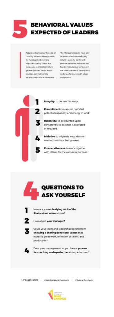 5 Behavioral Values we Expect from Leadership Infographic